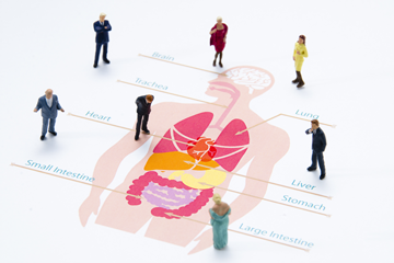 消化器・肝臓内科の画像