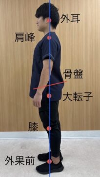 良い姿勢とは？の画像